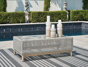 Seton Creek Outdoor Sofa and 2 Chairs with Coffee Table in Gray - PKG016267