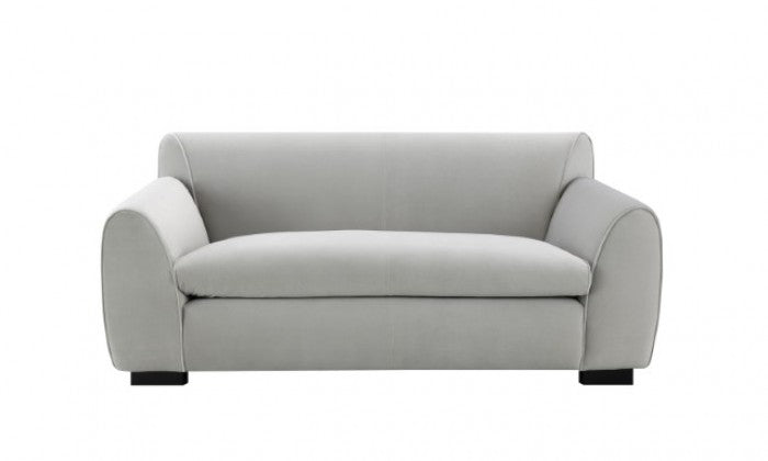 Severo Light Gray Loveseat - FM61005LG-LV