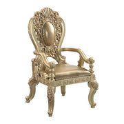 Seville Arm Chair (Set-2) - DN00459
