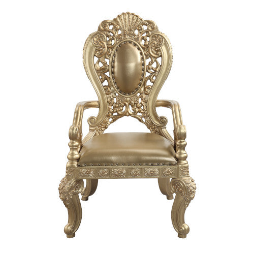 Seville Arm Chair (Set-2) - DN00459