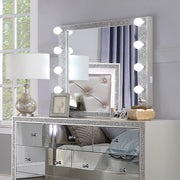 Sliverfluff Mirror W/Light - BD00245
