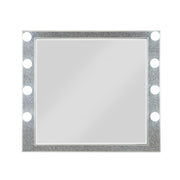 Sliverfluff Mirror W/Light - BD00245