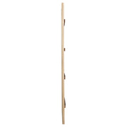 Solano 80-inch Full Length Floor Mirror Weathered Mango - 222528