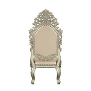 Sorina Arm Chair (Set-2) - DN01210