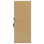 Spector 1-drawer Lighted Full-Length Floor Mirror Mango - 960965
