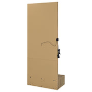 Spector 1-drawer Lighted Full-Length Floor Mirror Mango - 960965