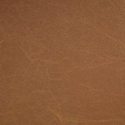 Sylvan Vegan Leather Upholstered Dining Chair in Cognac, Set of 2 - 77087Cognac-C
