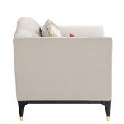 Tayden Chair W/2 Pillows - LV01157