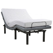 TBD - 350165T