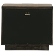 Terrace 2-drawer Nightstand Bedside Table Ash Brown - 224902