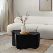 Tevere Iron Coffee Table in Black - 238Black-C
