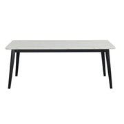 Tina - White Rectangular Shape Dining Table with Faux Marble Top - D213-Table