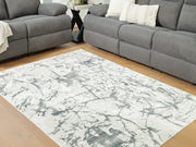 Tobinbury Gray Washable 5' x 7' Area Rug - R407422