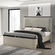 Travonte Queen Bed - BD04882Q