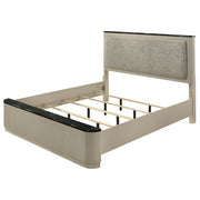 Travonte Queen Bed - BD04882Q