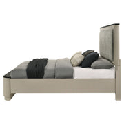 Travonte Queen Bed - BD04882Q