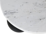 Treviso Marble Top And Mango Wood Base Coffee Table in White - 99092White-CT