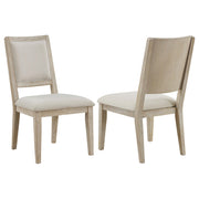 Trofello Cushioned Dining Side Chair White Washed (Set of 2) - 123122