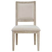 Trofello Cushioned Dining Side Chair White Washed (Set of 2) - 123122