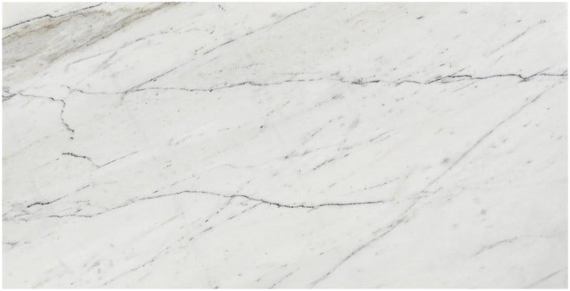 Vernazza Marble Coffee Table in White - 99004White-CT