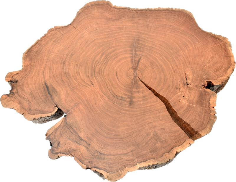 Woodland Acacia Wood Top And Acrylic Base Coffee Table in Natural - 258-CT