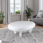 Wylie Coffee Table - LV04365