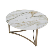 Zaidee COFFEE TABLE - LV02825