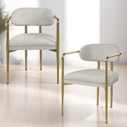 Zayn Arm Chair (Set-2) - DN04206