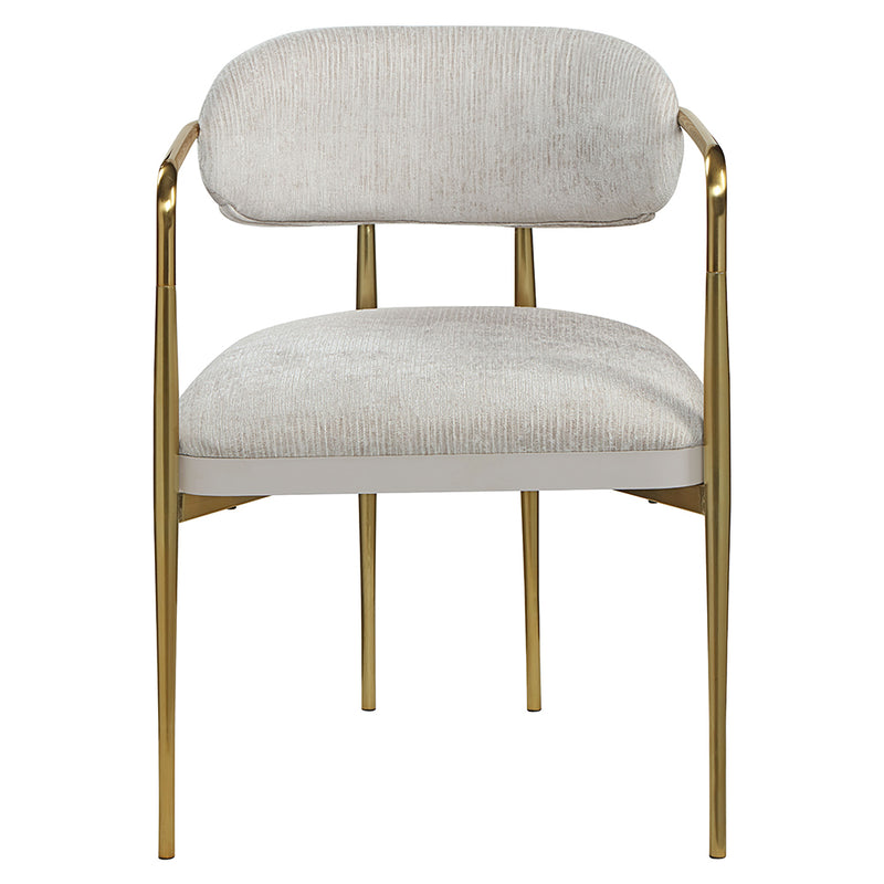 Zayn Arm Chair (Set-2) - DN04206