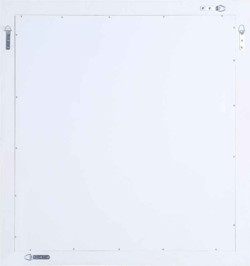 Zayne Wood Veneer Framed Mirror in White - 842White-M
