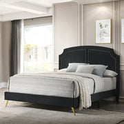 Zeena EK Bed - BD01271EK