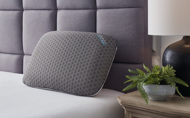 Zephyr 2.0 Graphene Contour Pillow (6/Case) - Gate FurniturePillow