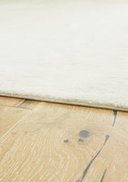 Anaben Ivory 8' x 10' Rug - R406191