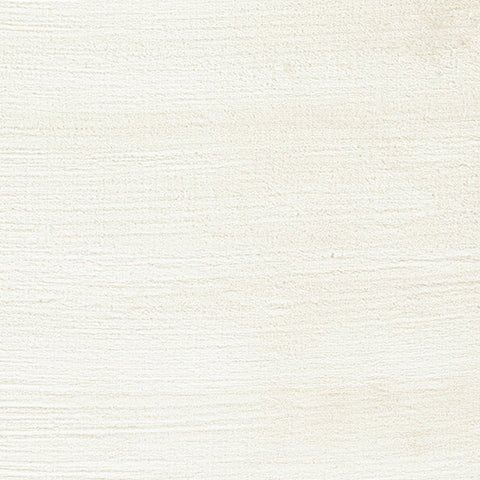 Anaben Ivory 8' x 10' Rug - R406191