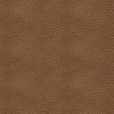 Bolsena Queen Sofa Sleeper - Gate FurnitureSleeper Sofa