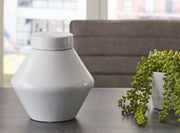 Domina Jar (Set of 2) - Gate FurnitureJar