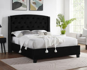 Eva Black Velvet King Upholstered Bed - Gate FurnitureKing Bed