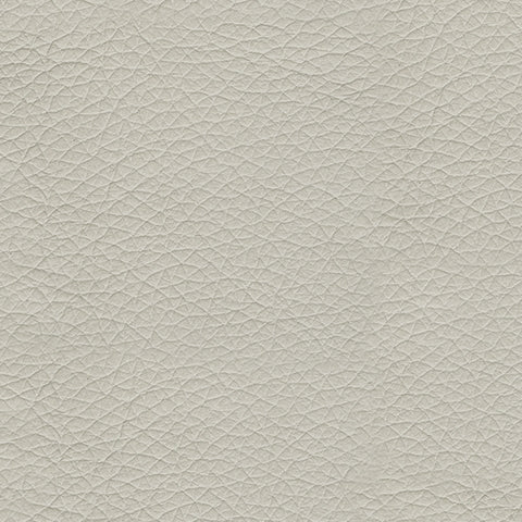 Genoa Coconut Queen Sofa Sleeper - 4770439