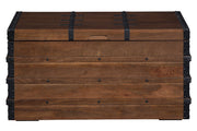 Kettleby Brown Storage Trunk - Gate FurnitureTrunk