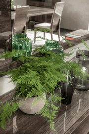 Medea Dining Room Set - Gate FurnitureDining Room Set