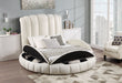 Snow White Queen Bed - SNOW-WHITE-QB - Gate Furniture