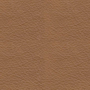 Tryanny Butterscotch Power Reclining Loveseat - U9370414