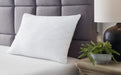 Zephyr 2.0 Comfort Pillow (4/Case) - M52111
